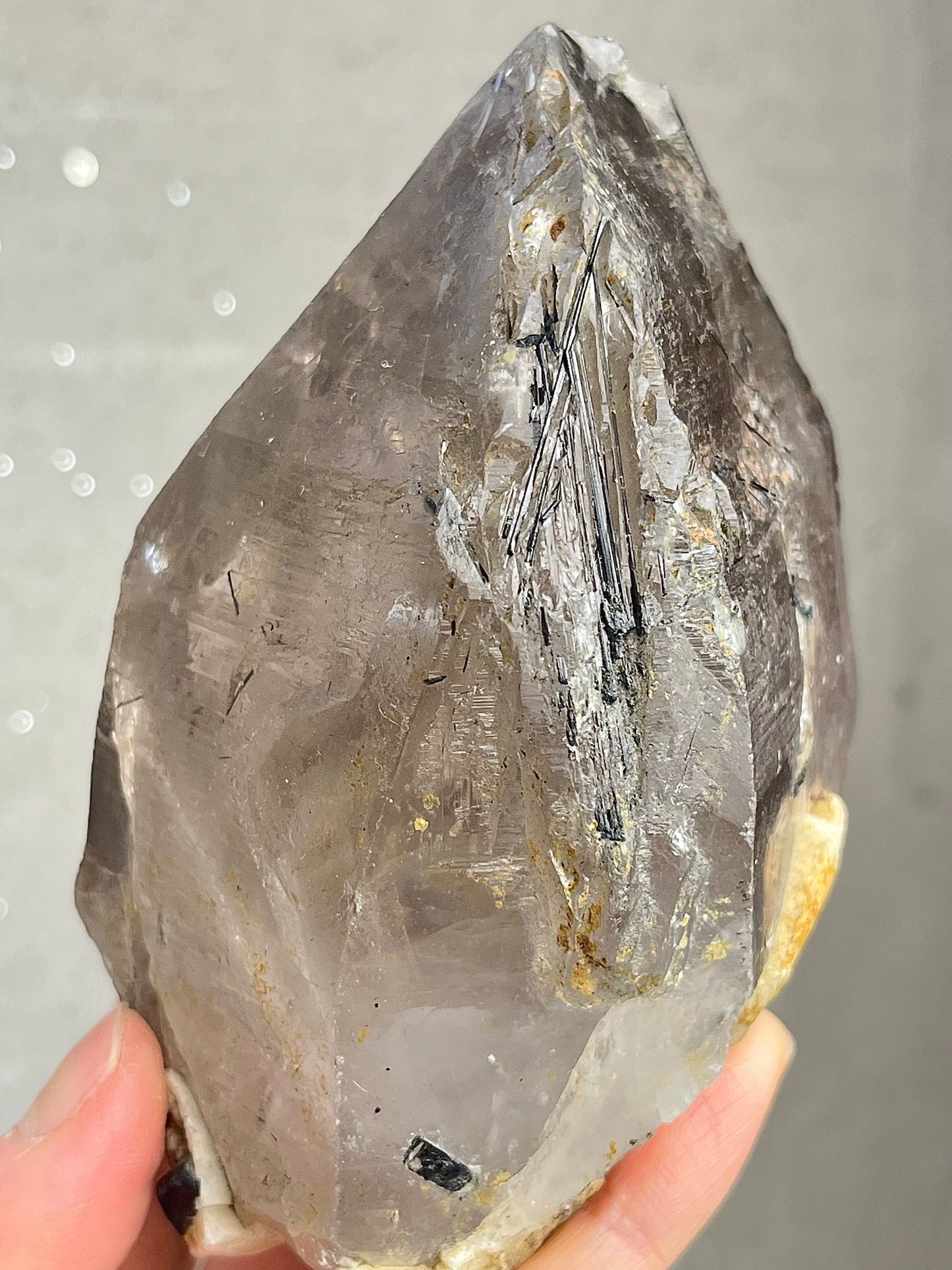 Røykkvarts (skeletal/elestial) med svart turmalin