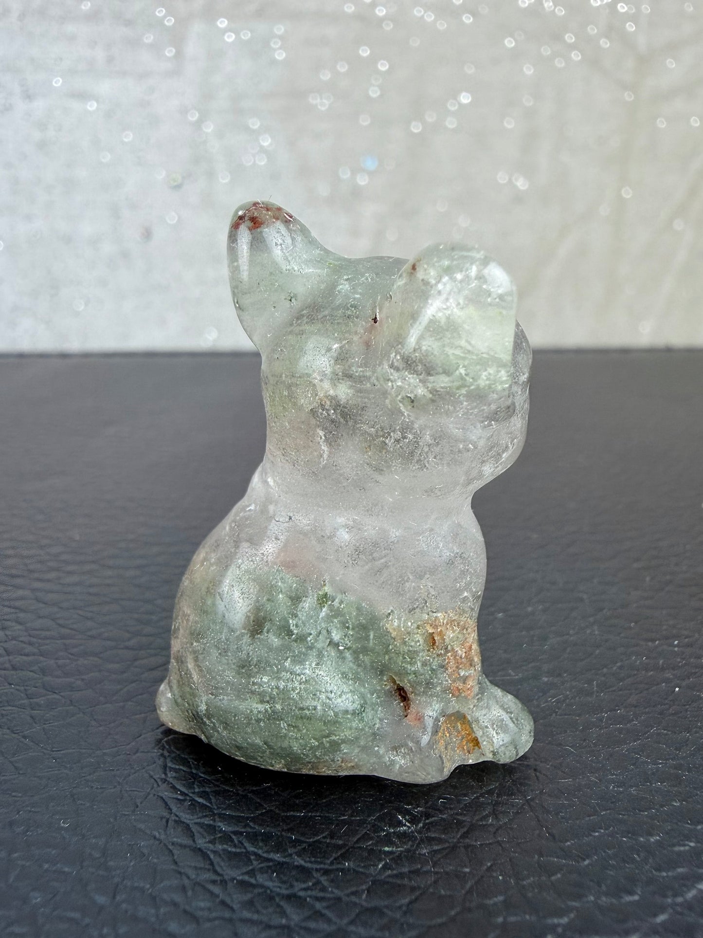 Hagekvarts hund