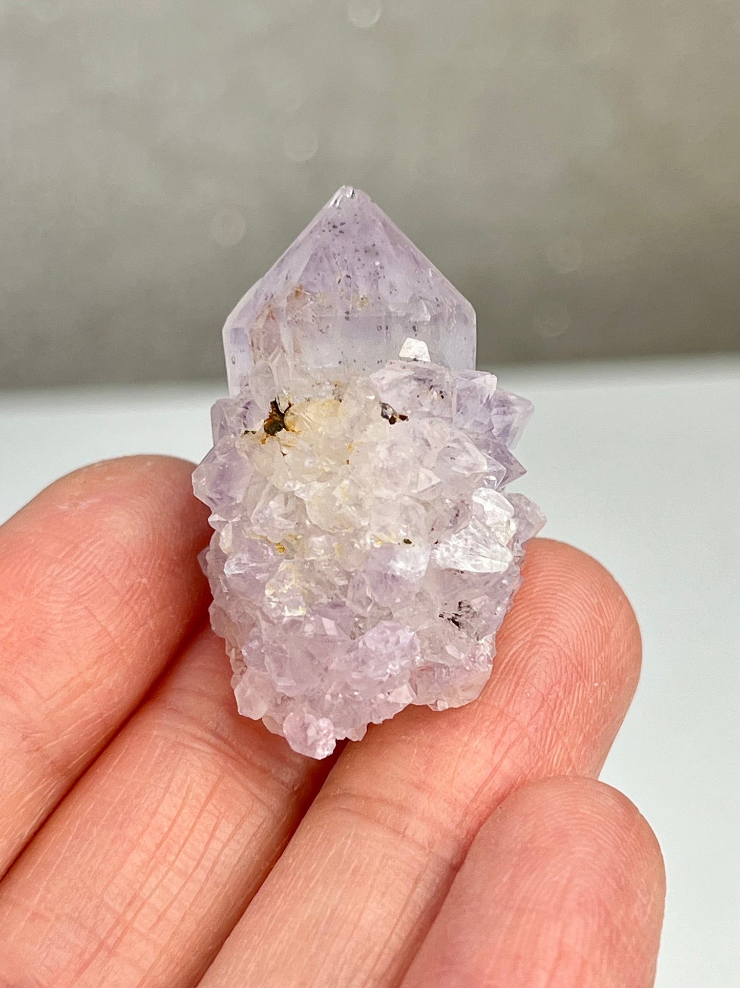 Ametyst kaktuskvarts (spirit quartz)