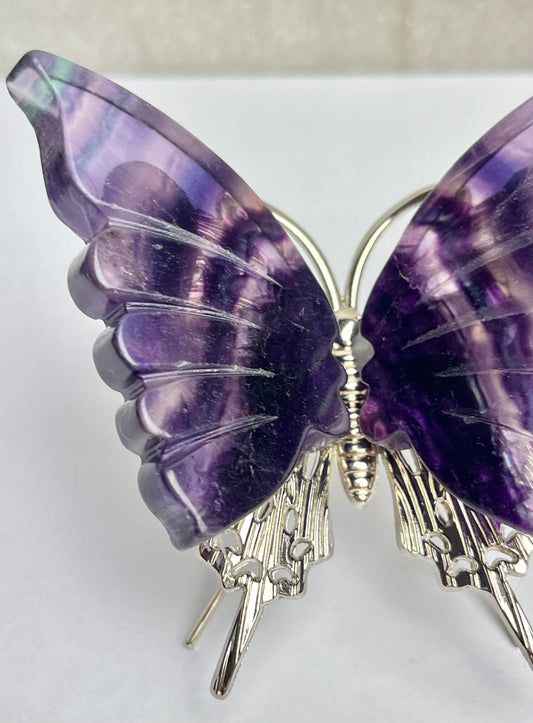 Regnbue Fluoritt Sommerfugl