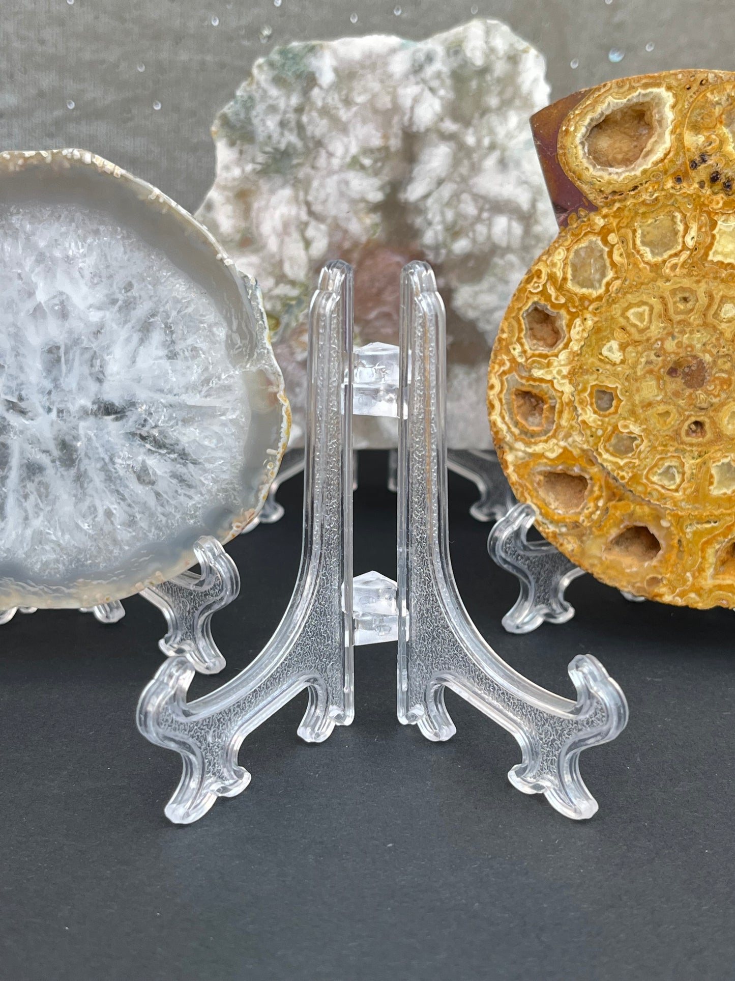 Holder for eksemplar/skive (S)