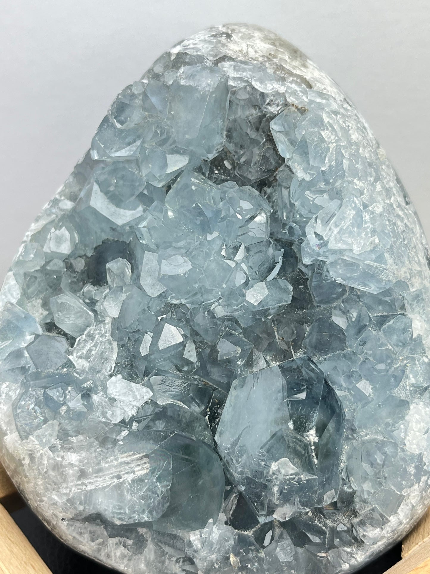 Celestin XL,1.7kg