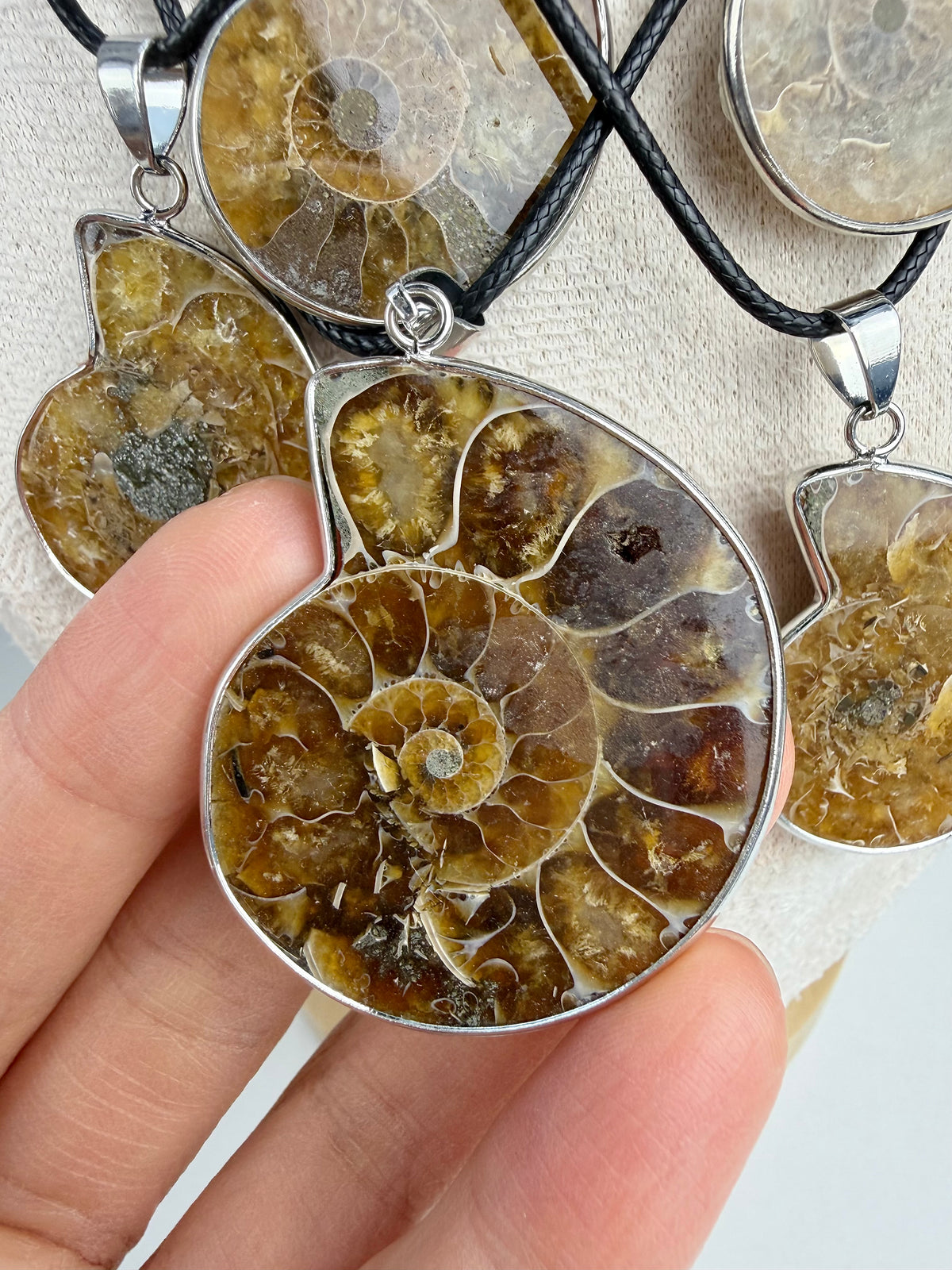 Fossil Ammonitt anheng