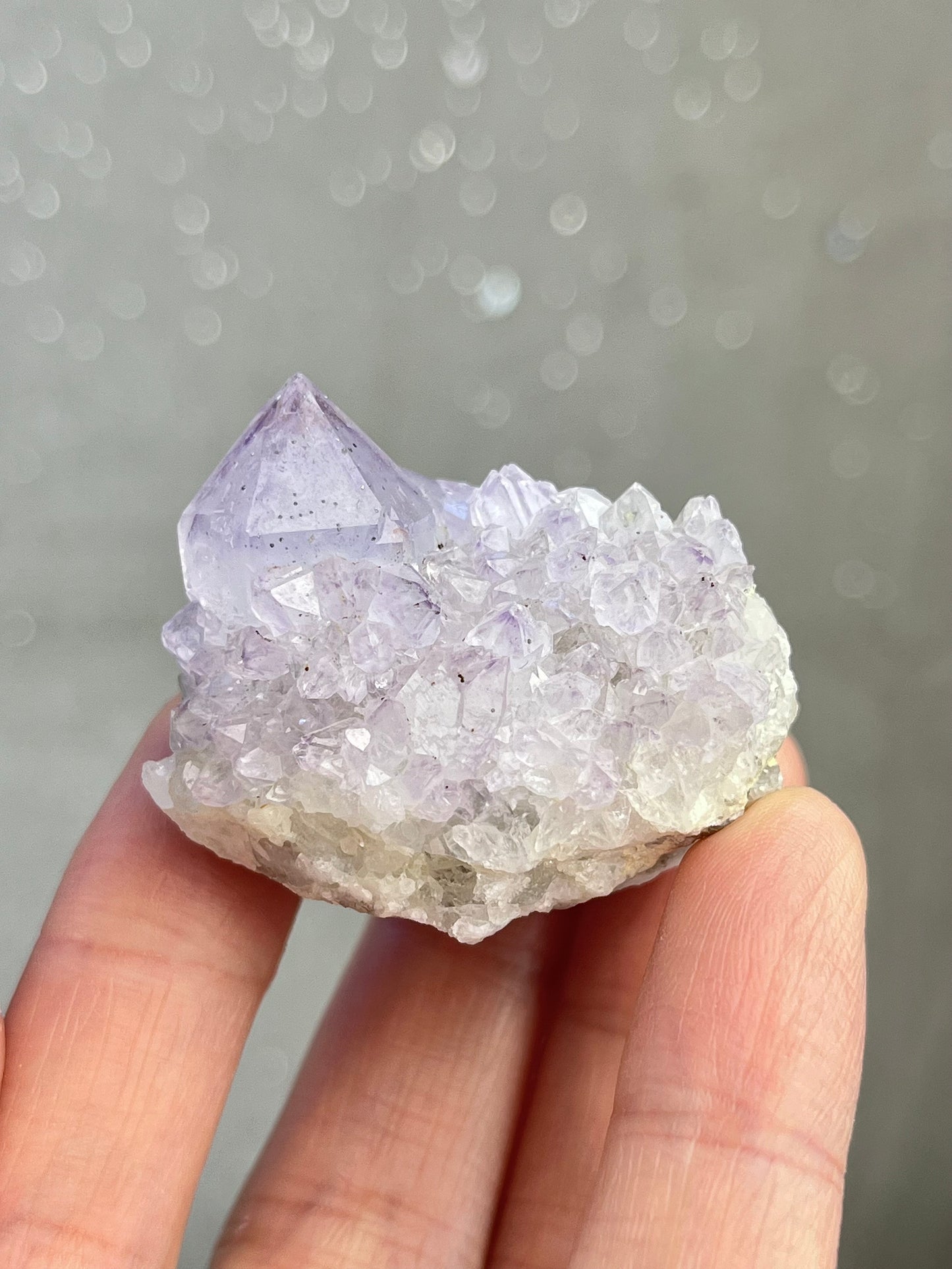 Ametyst kaktuskvarts (spirit quartz)