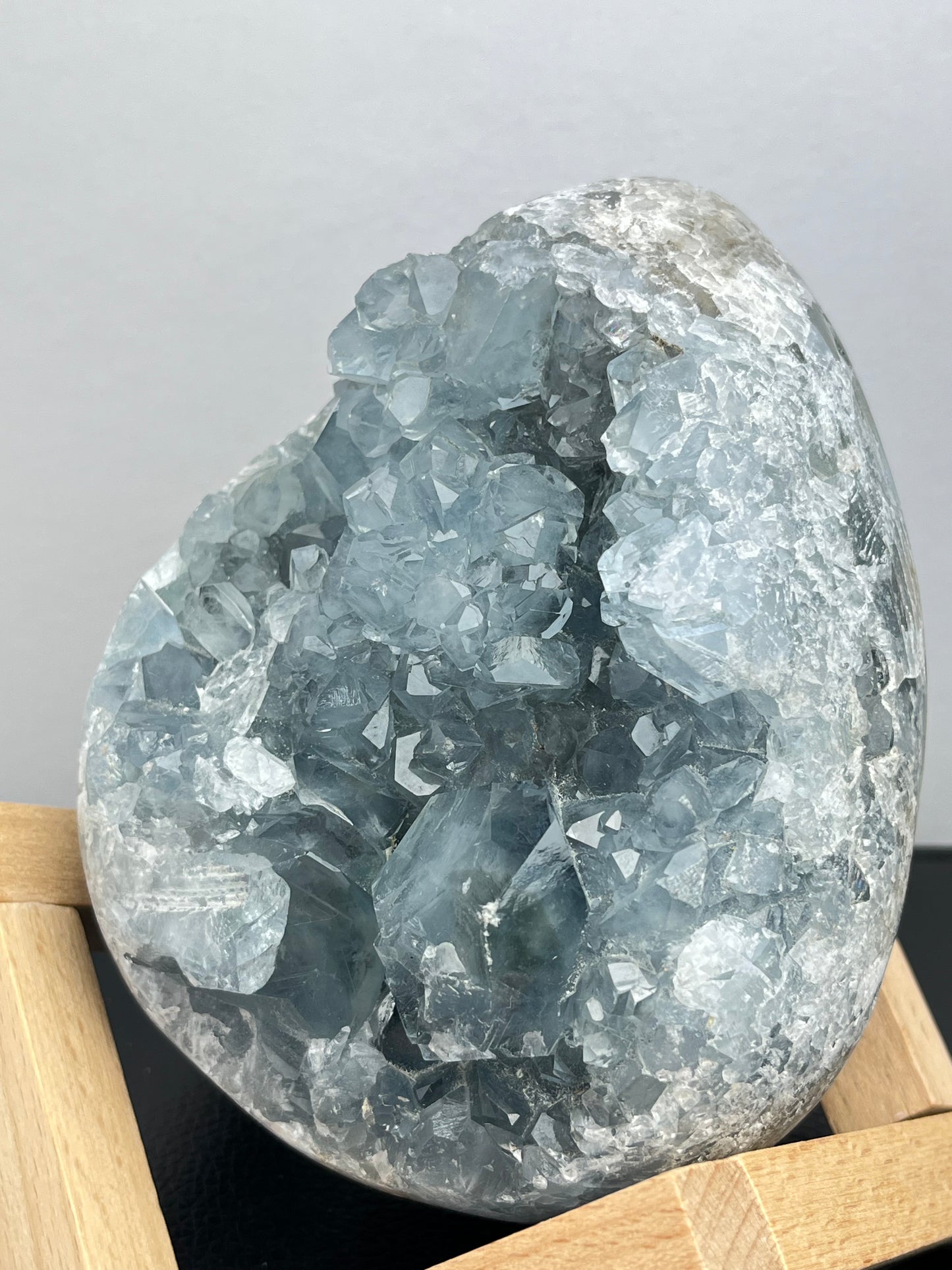 Celestin XL,1.7kg