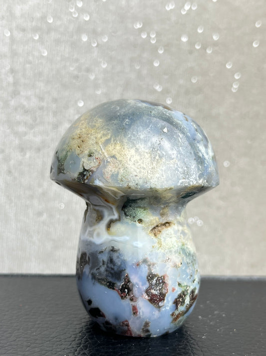 Jaspis(Cosmic jaspis) Sopp