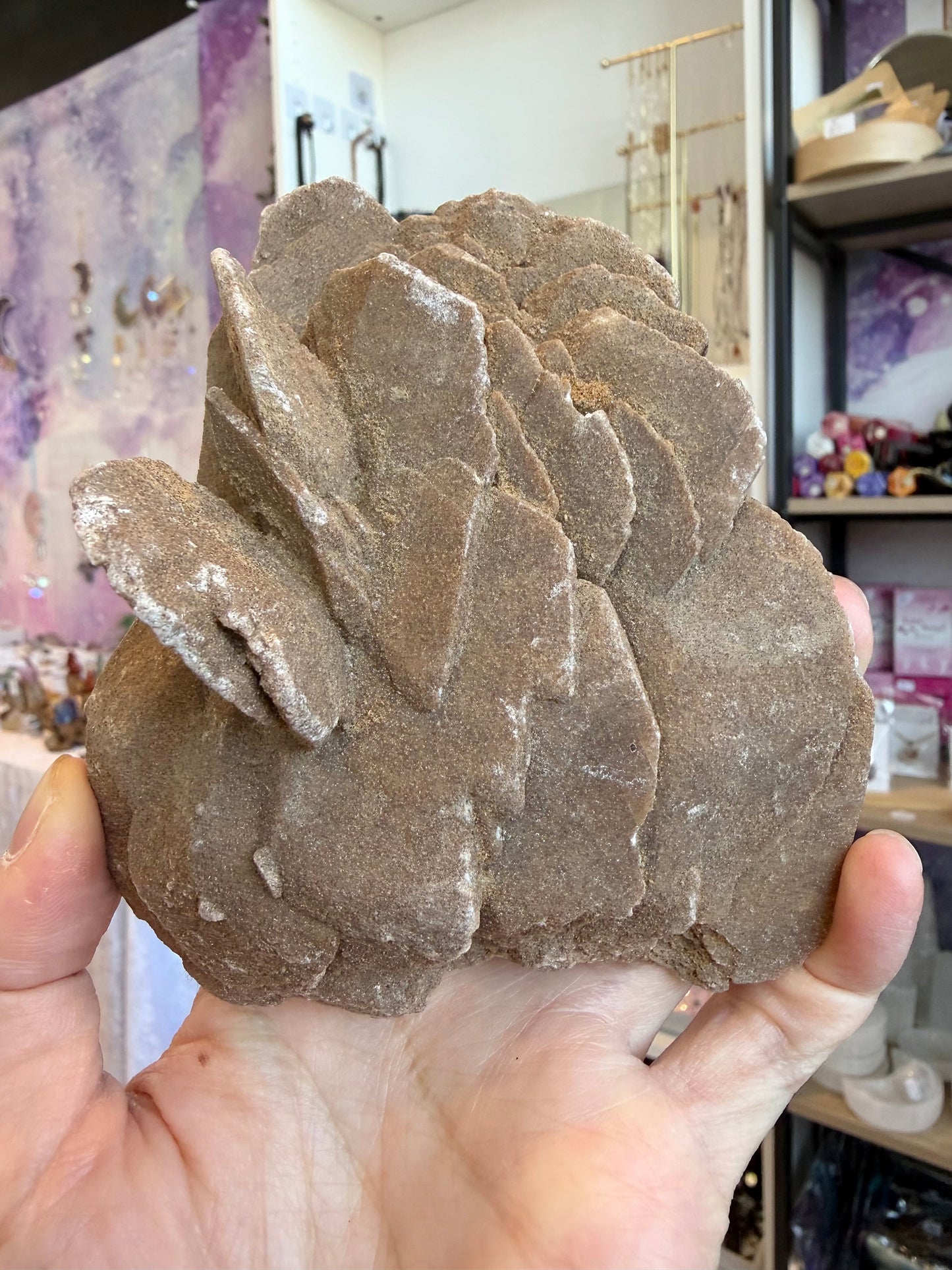 Ørkenrose (Desert Rose)