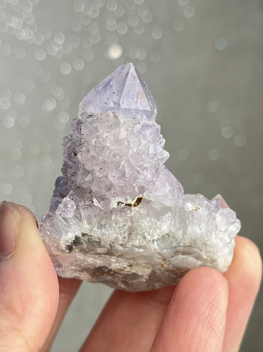 Ametyst kaktuskvarts (spirit quartz)