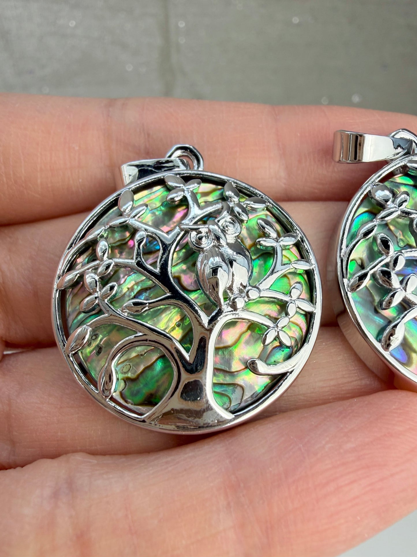 Abalone Anheng