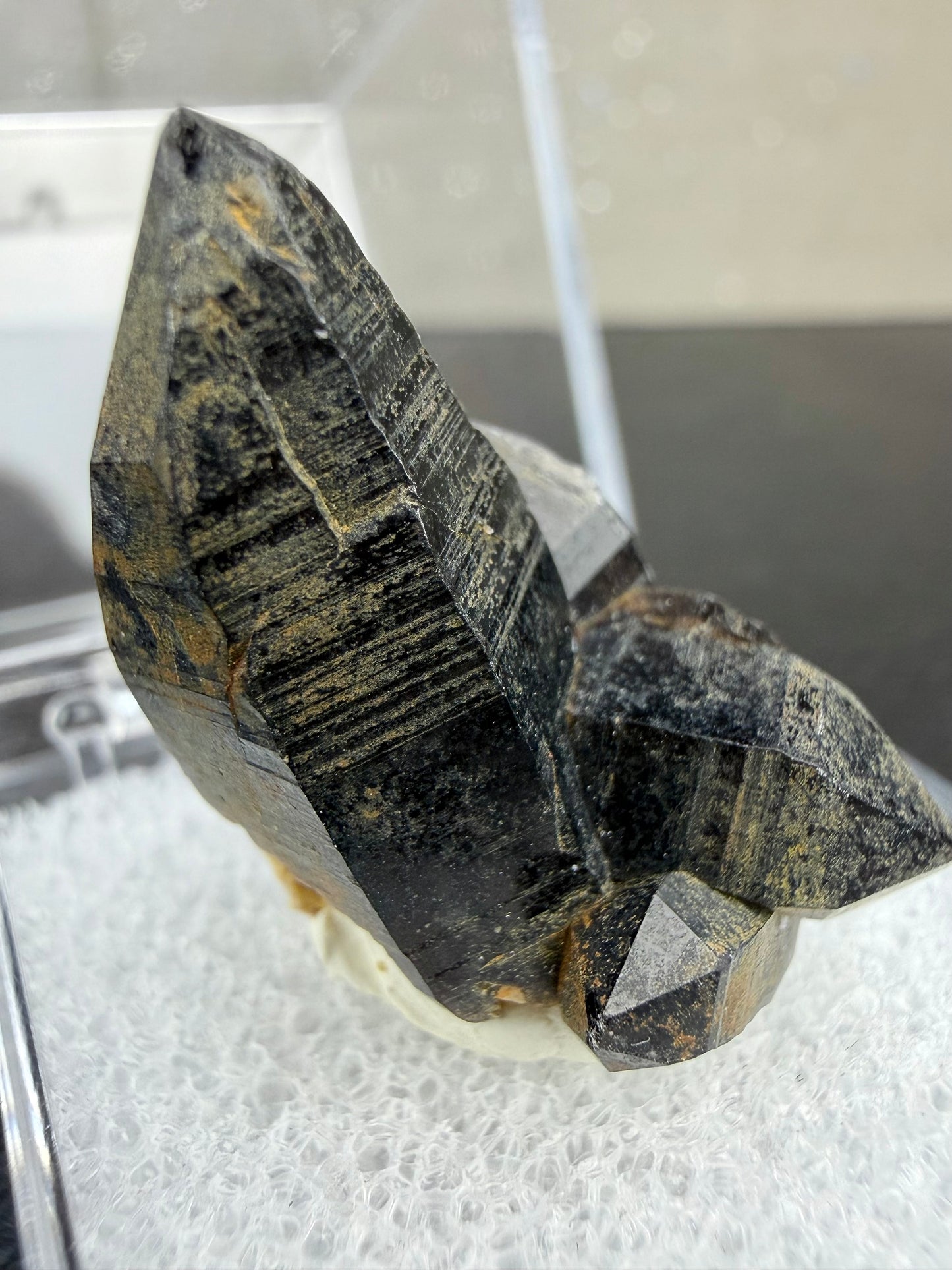 Morion (Mørk Røykkvarts)med boks, Namibia