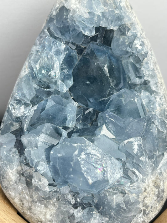 Celestin XL,1.6kg