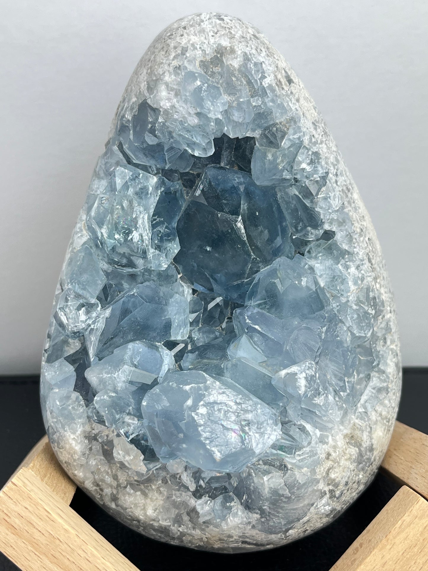 Celestin XL,1.6kg
