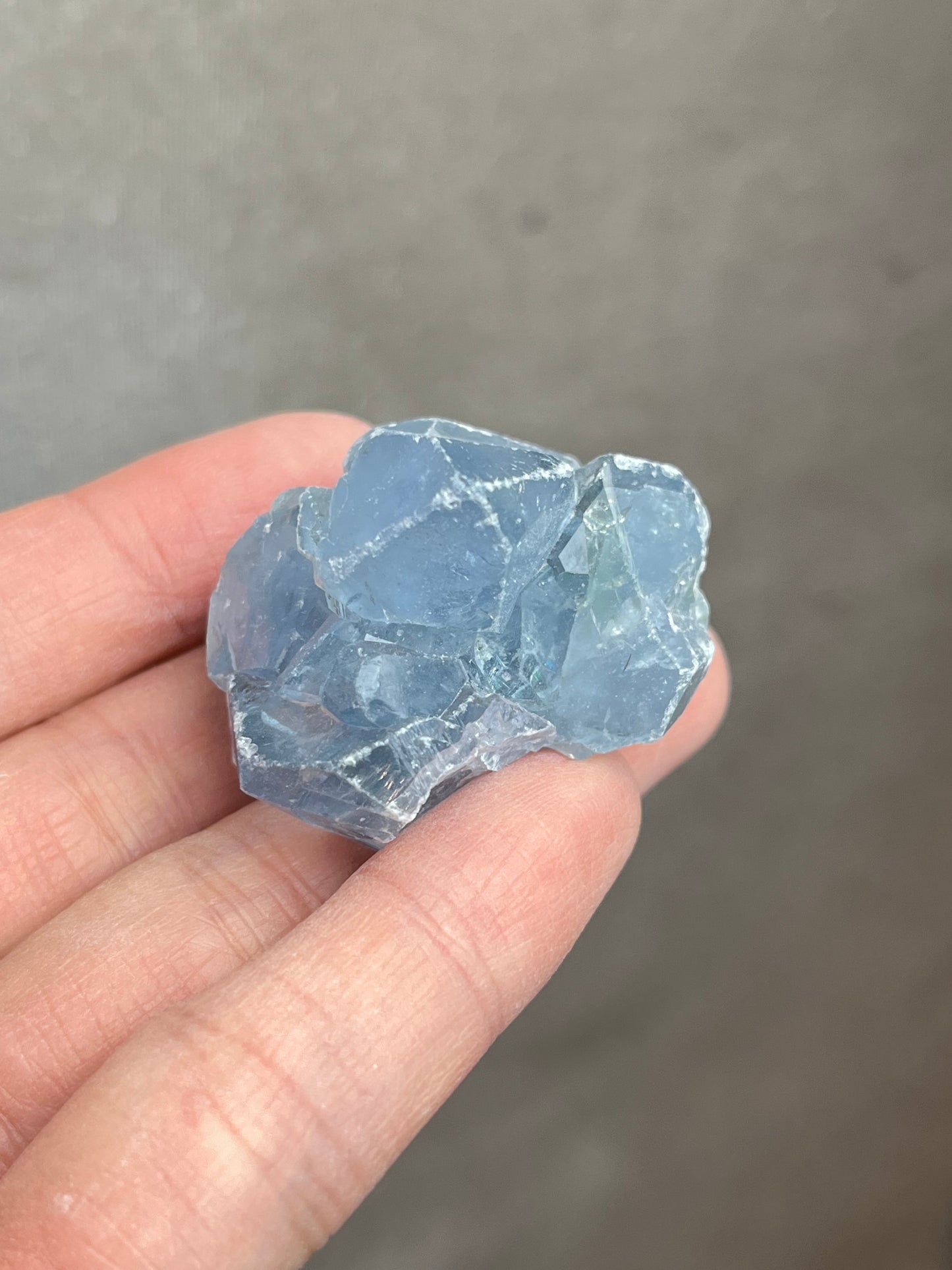 Celestin Rå 35-55mm