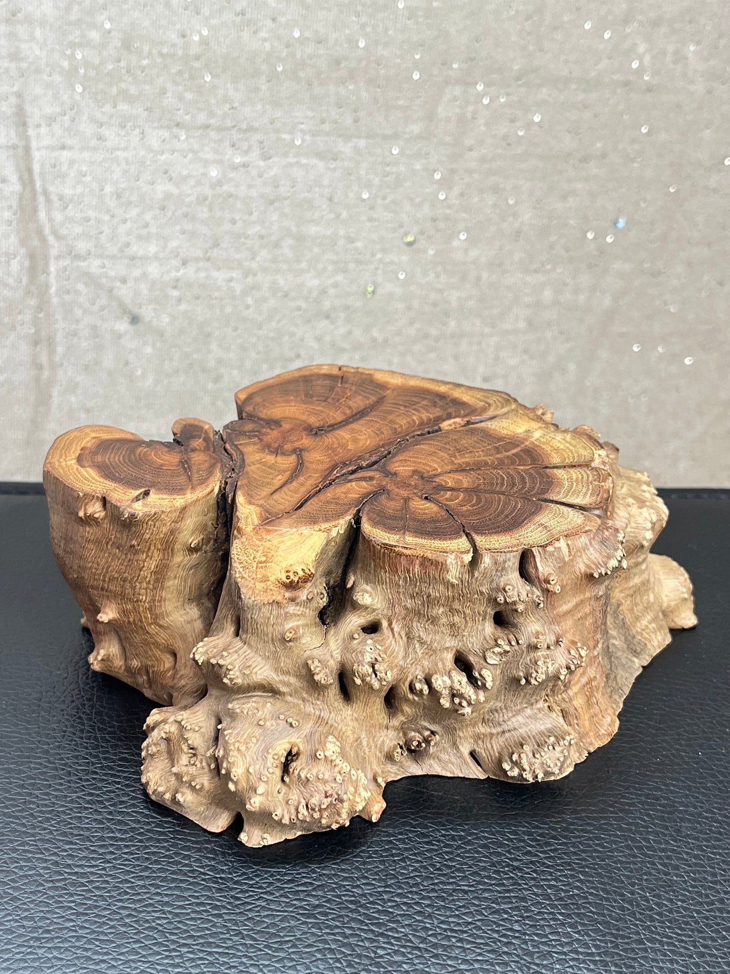 Natural wood crystal base