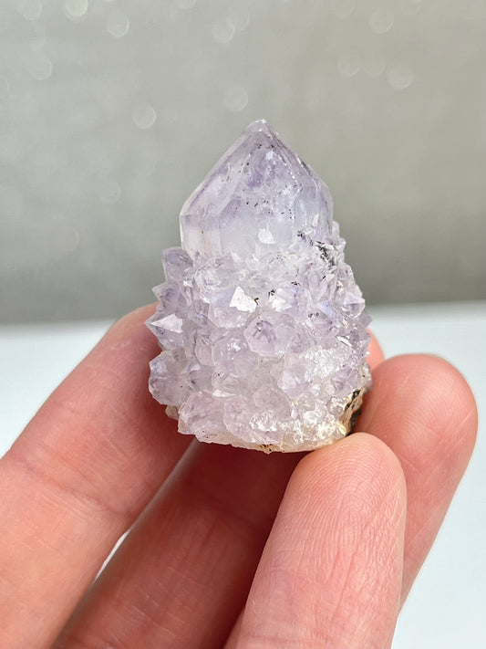 Ametyst kaktuskvarts (spirit quartz)