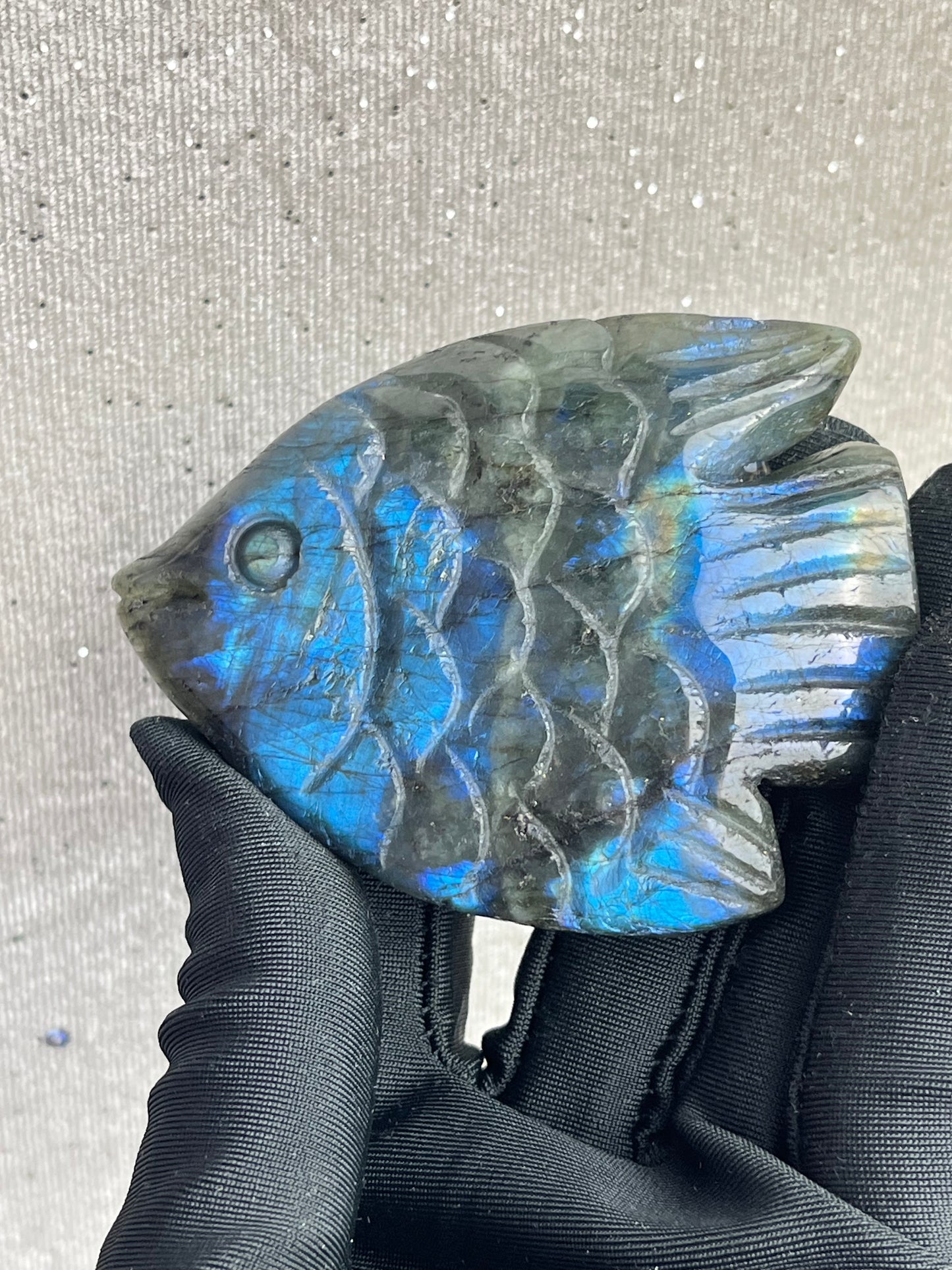 Labradoritt Fisk