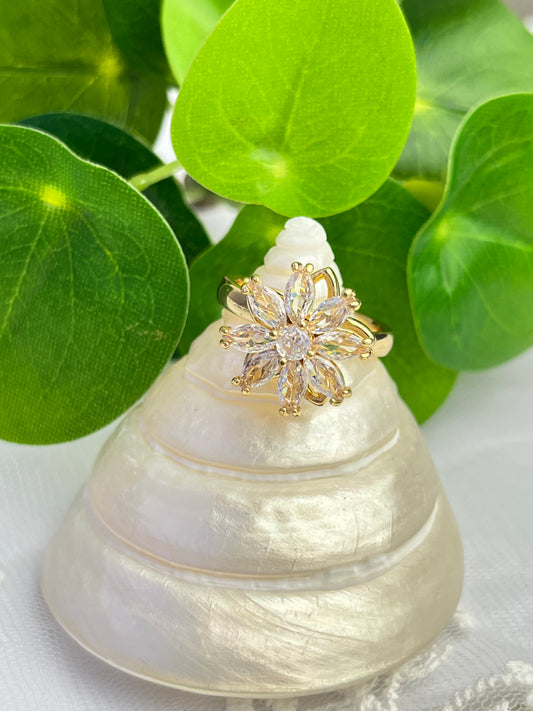 Roterende ring