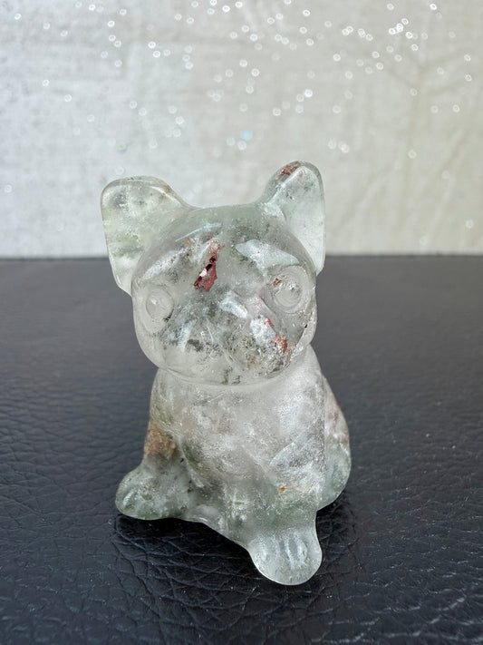 Hagekvarts hund