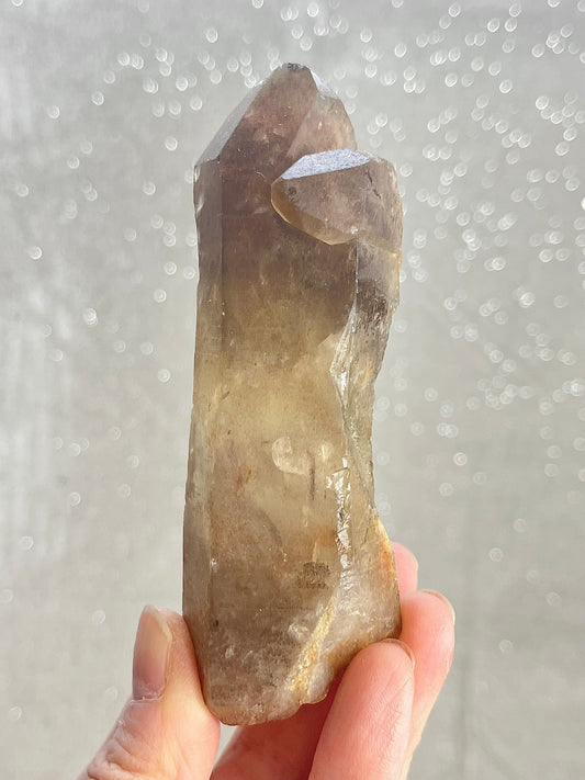 Naturlig mørk røykaktig citrin fra Zambia