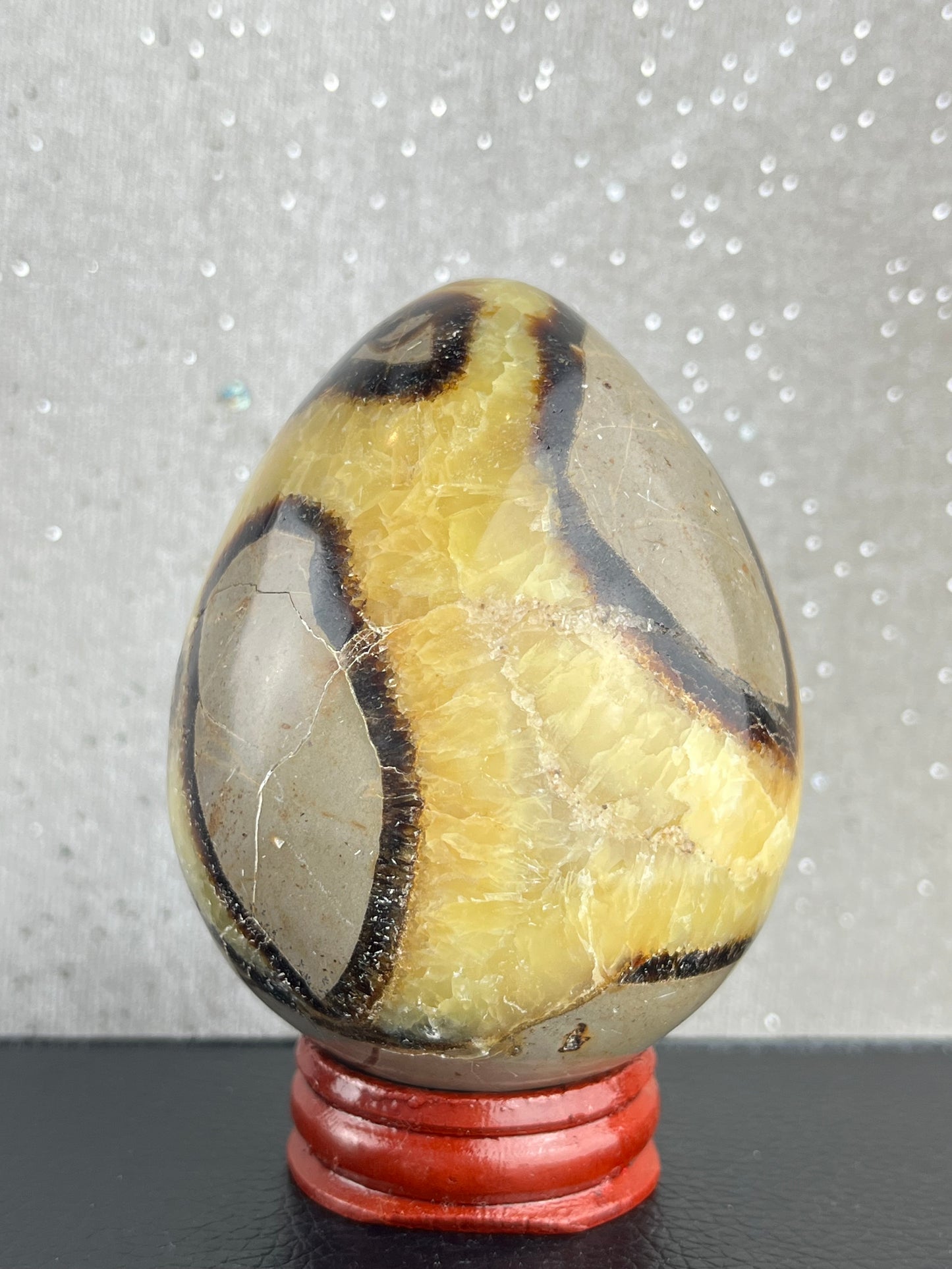 Druzy Septarian Egg