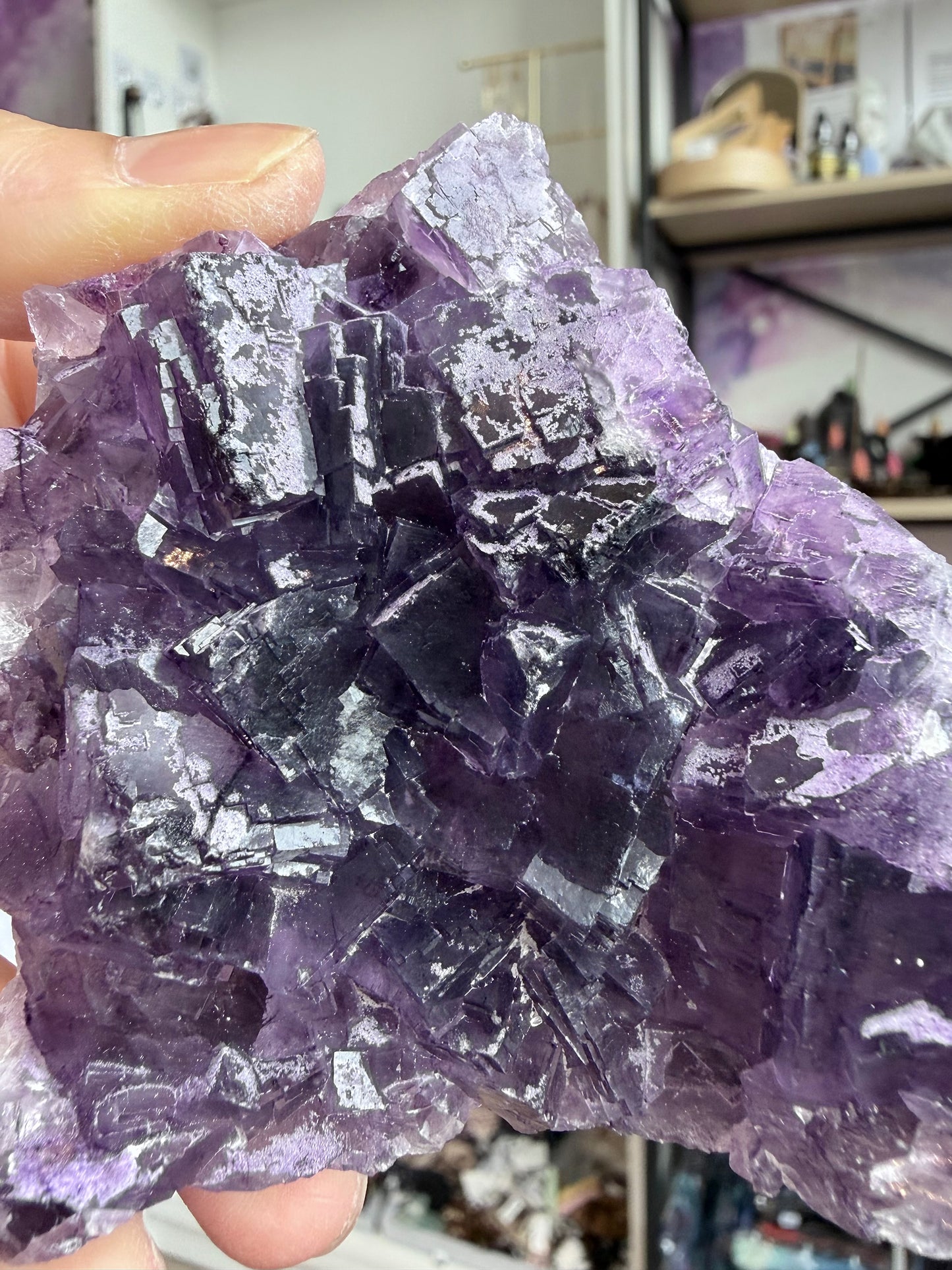 Fluoritt