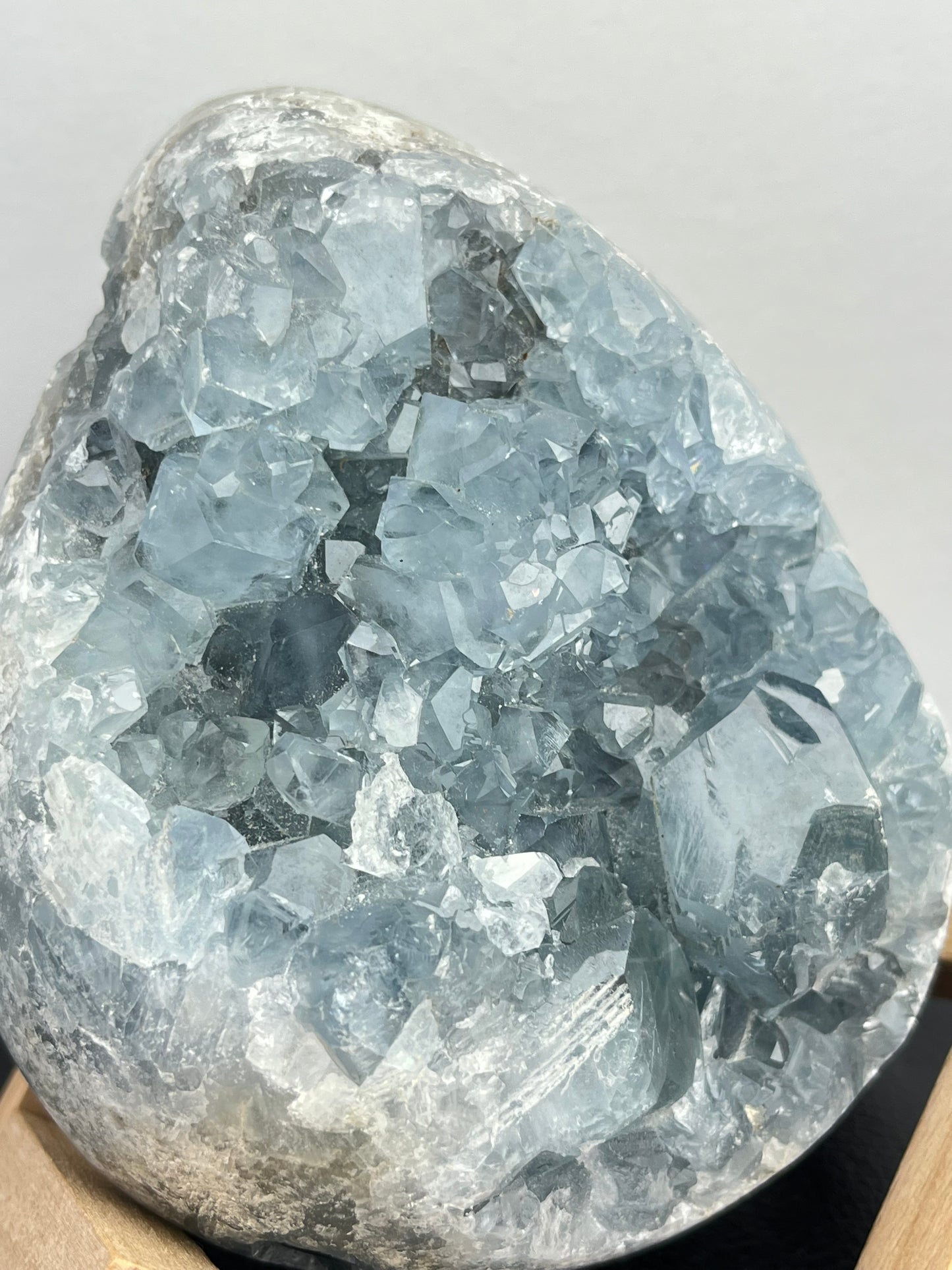 Celestin XL,1.7kg