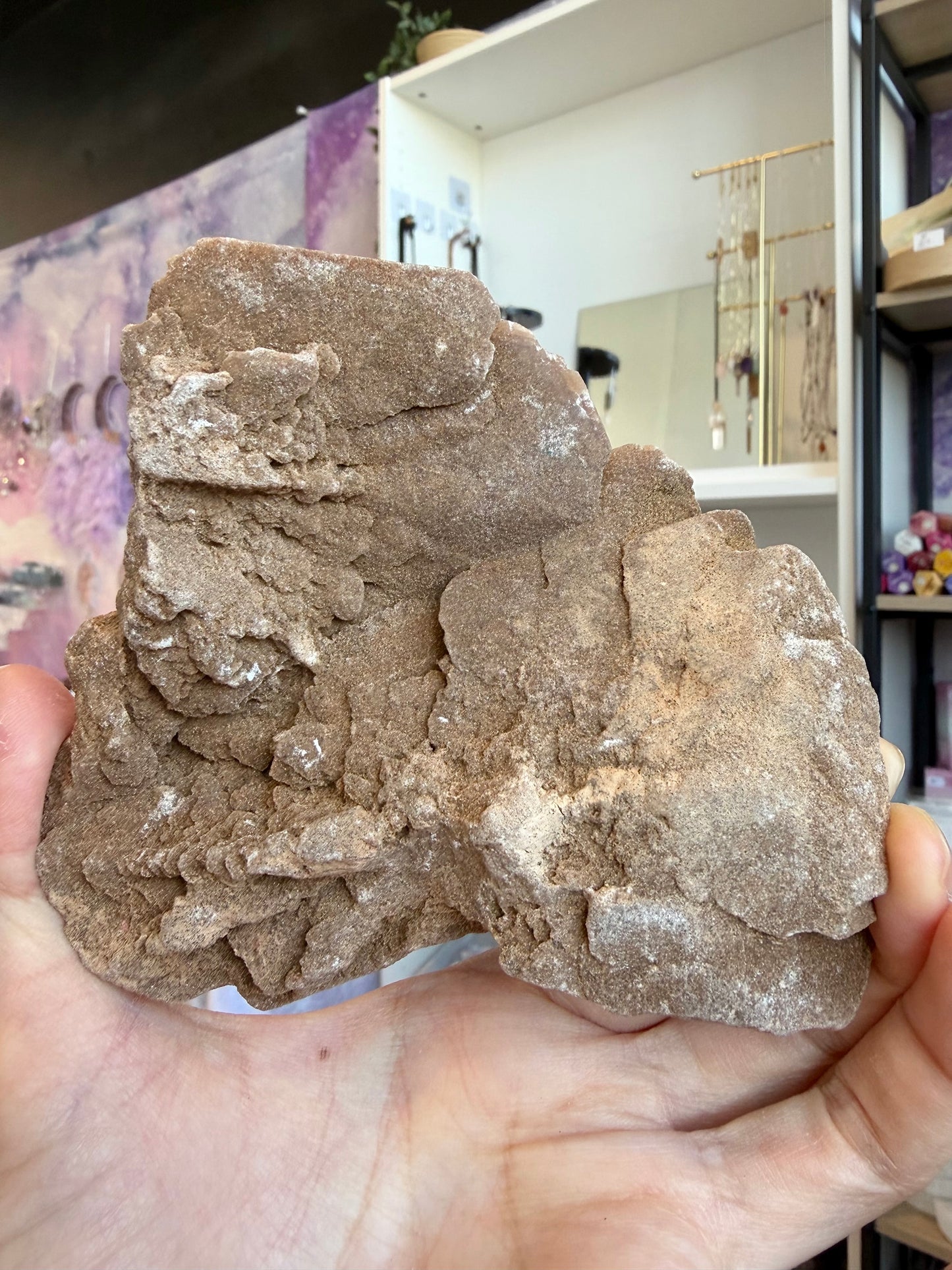 Ørkenrose (Desert Rose)