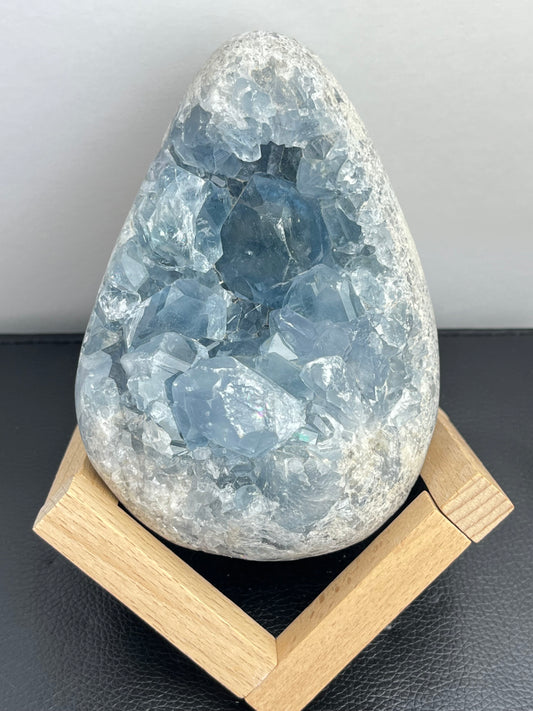 Celestin XL,1.6kg