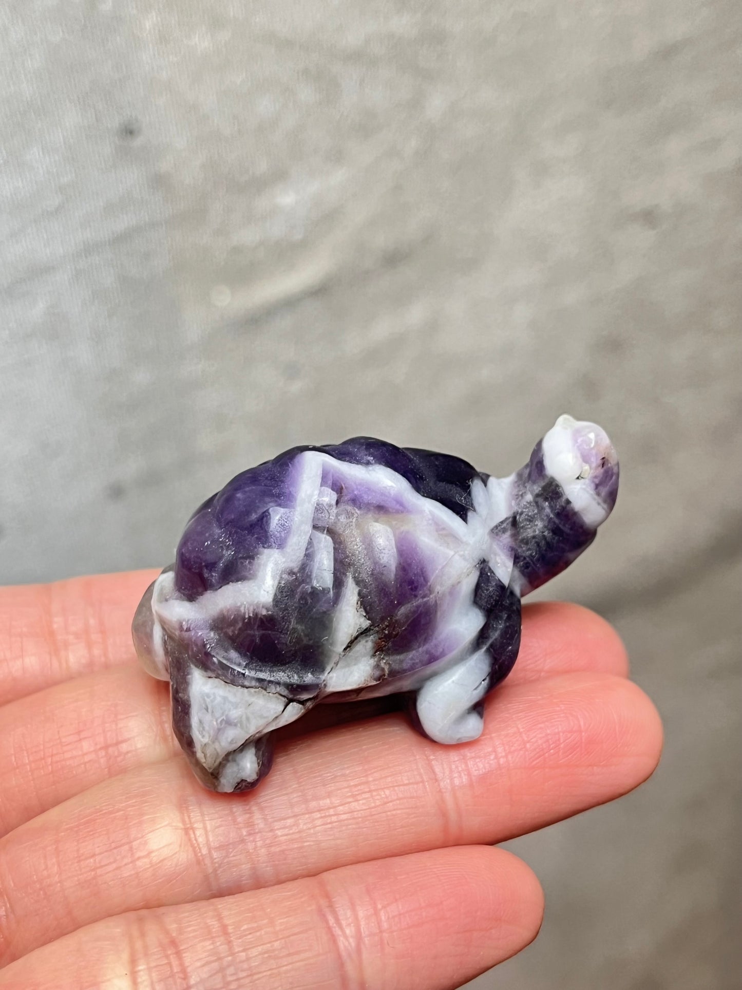 Bånd Ametyst skilpadde