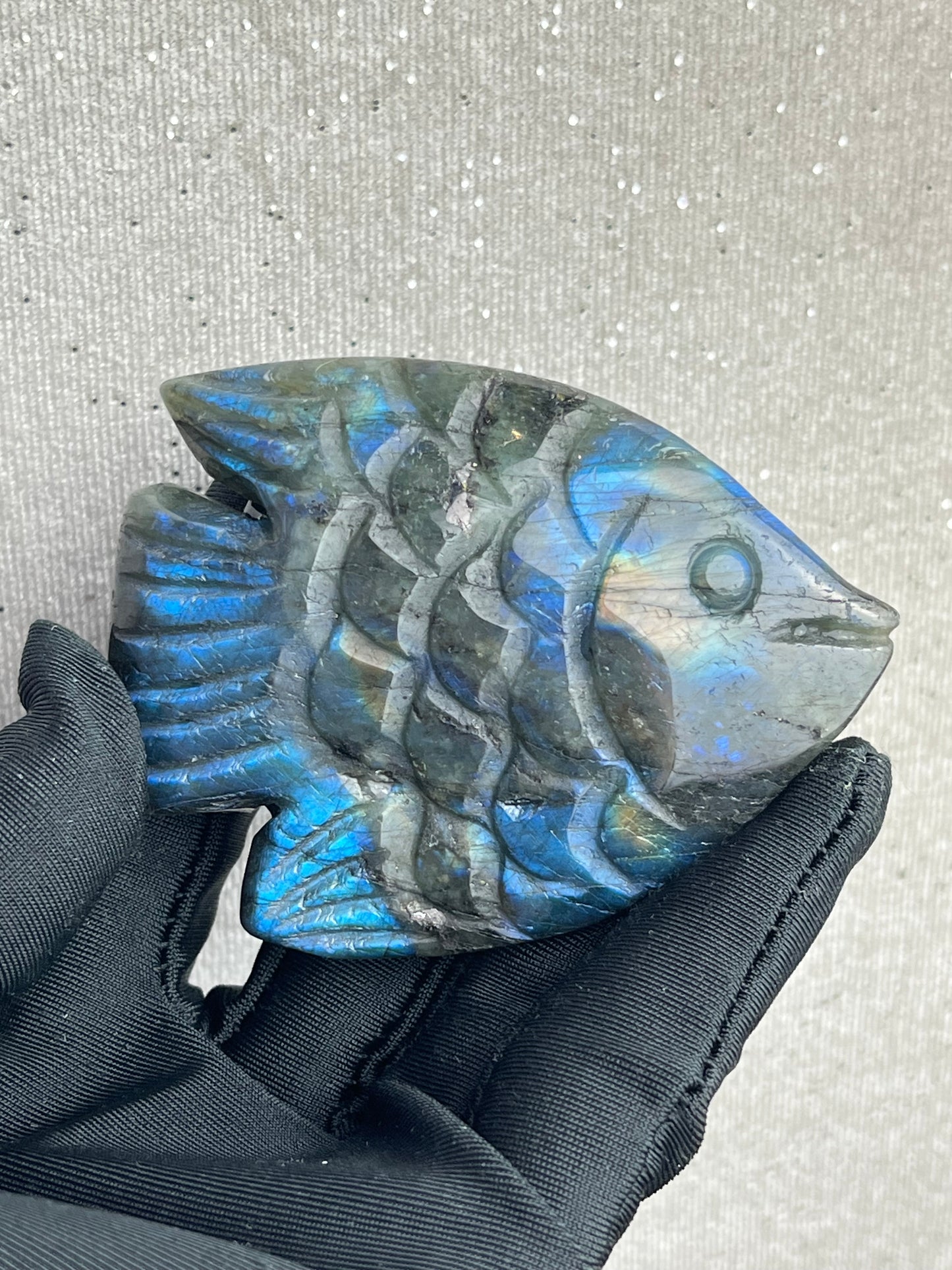Labradoritt Fisk