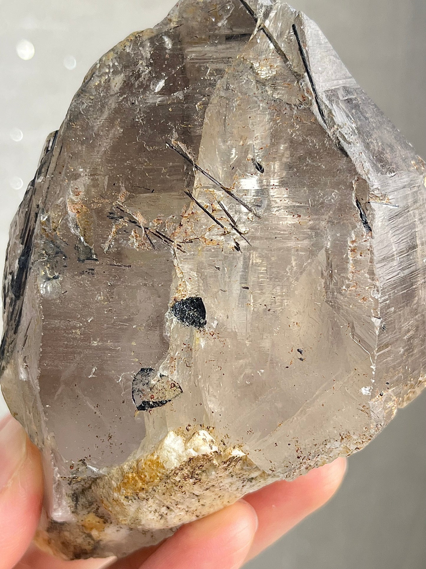 Røykkvarts (skeletal/elestial) med svart turmalin