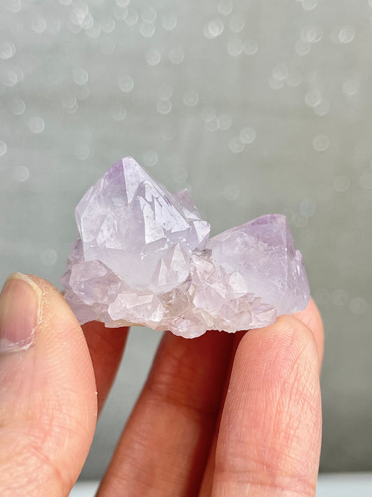 Ametyst kaktuskvarts (spirit quartz)