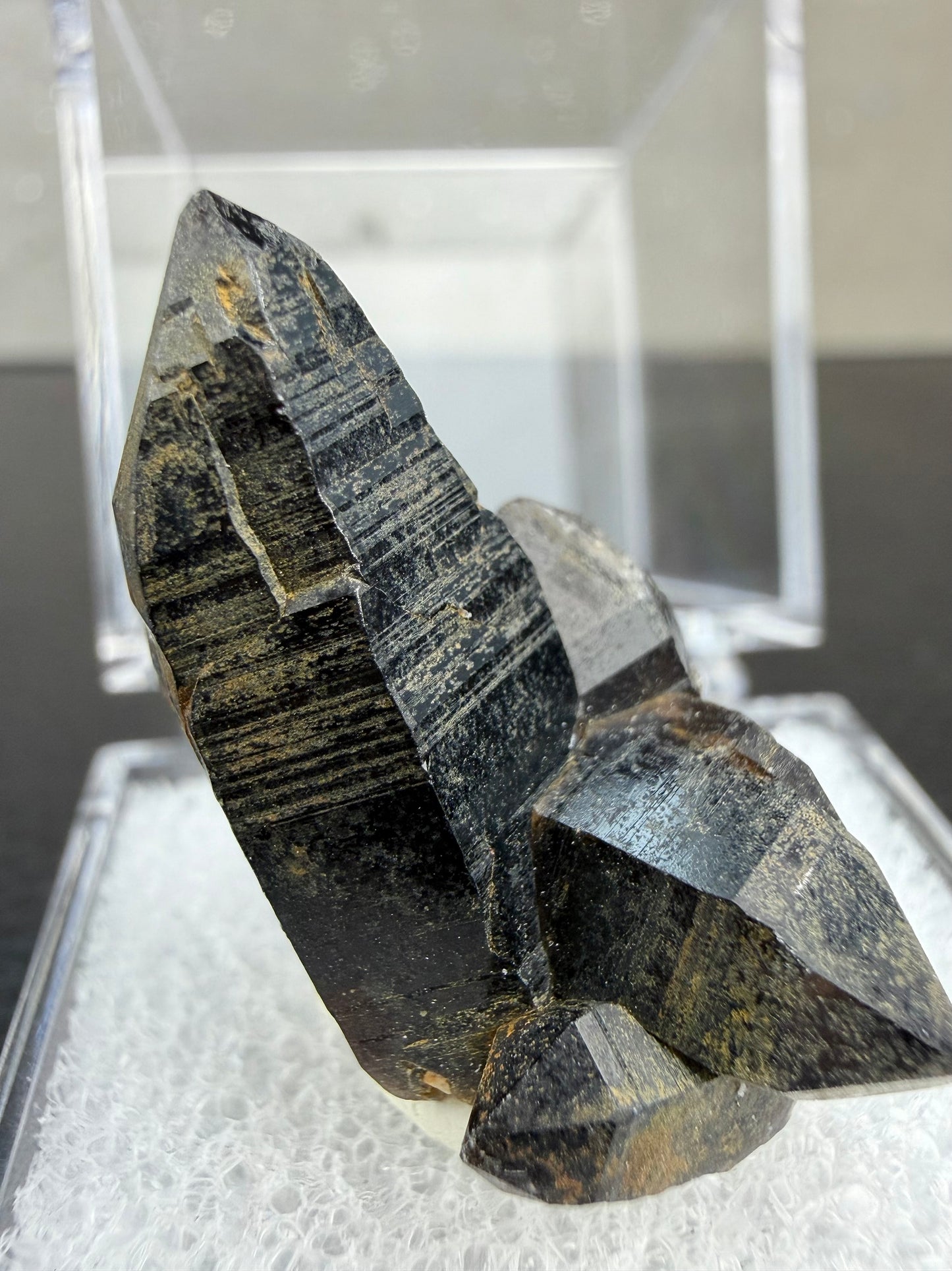Morion (Mørk Røykkvarts)med boks, Namibia