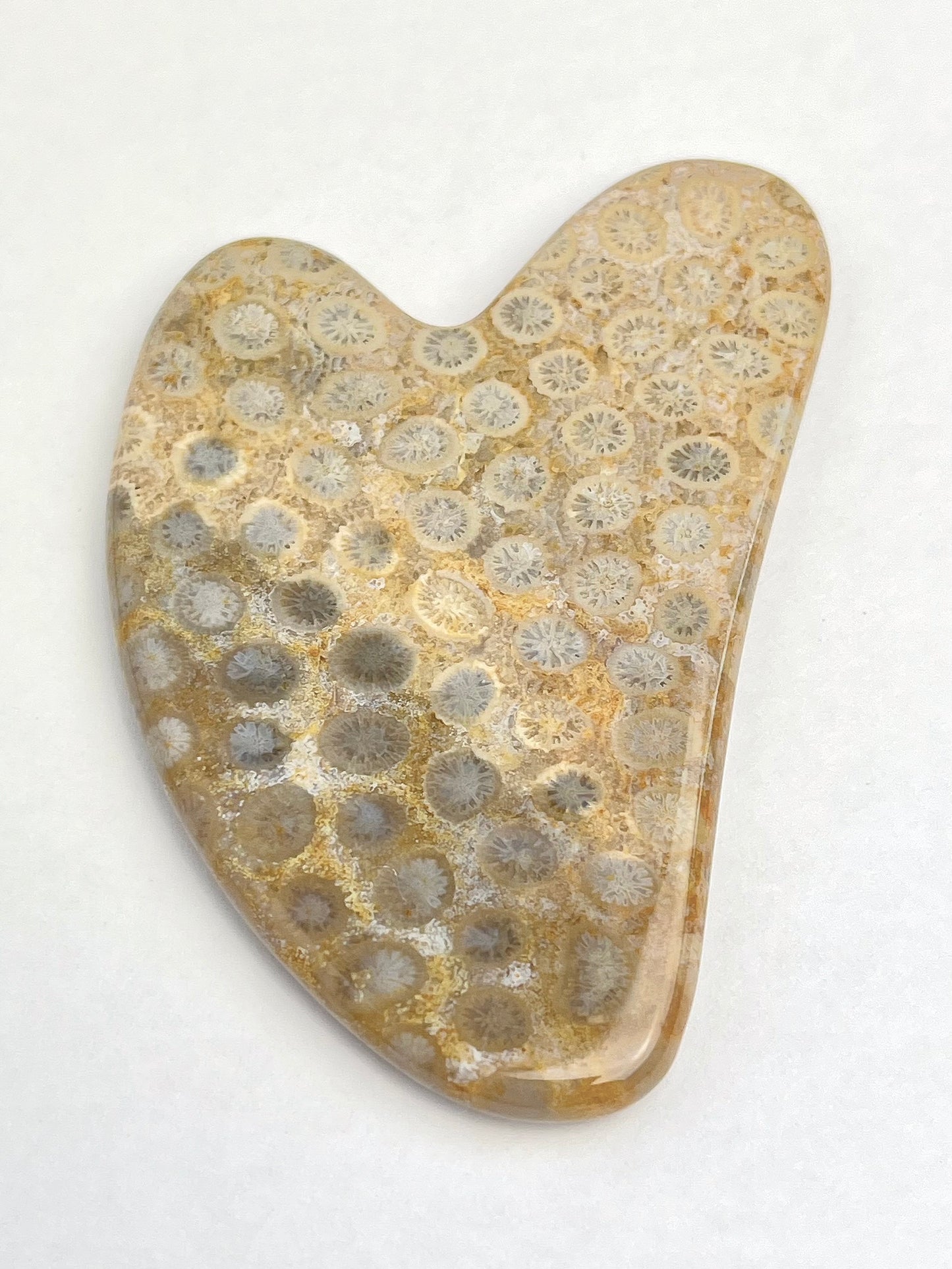 Agatisert Korall Gua Sha