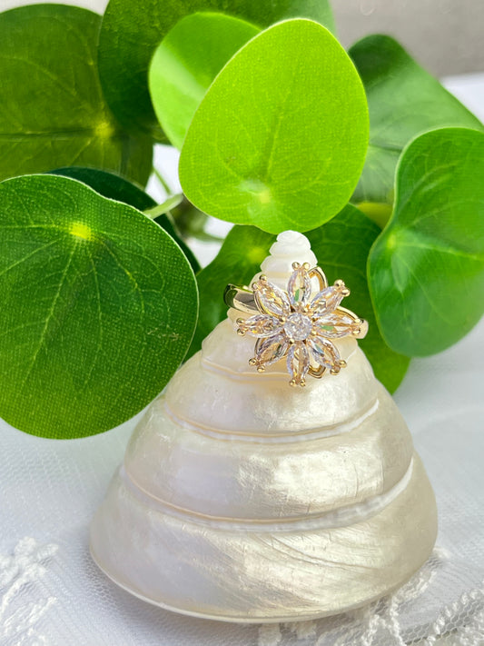 Roterende ring