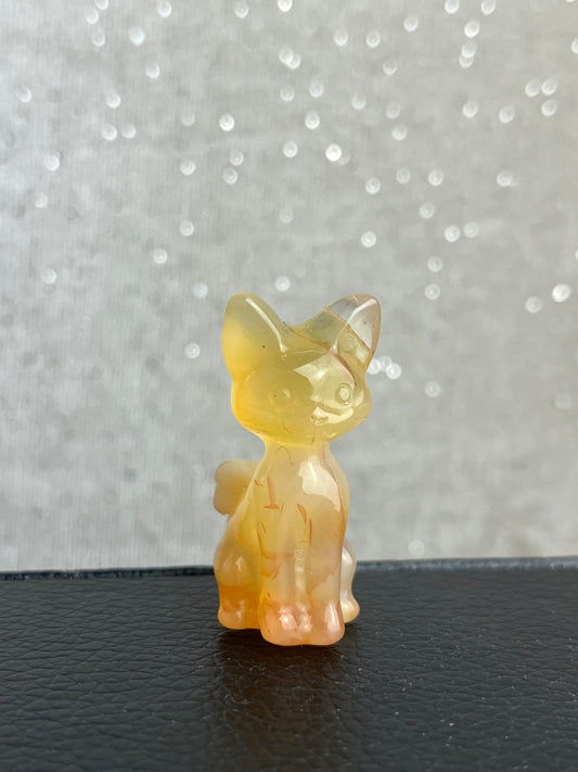 Blomster Agat Katt