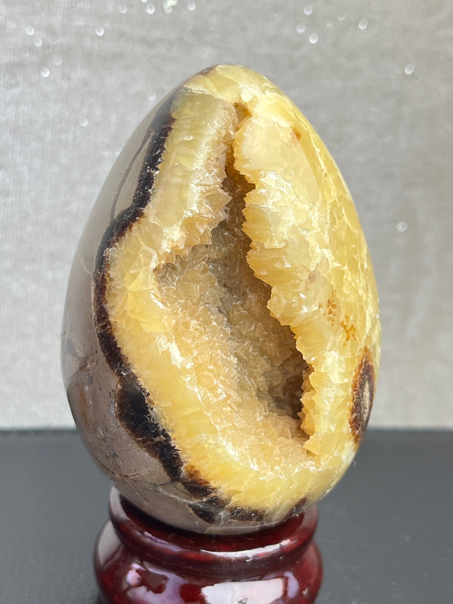 Druzy Septarian Egg
