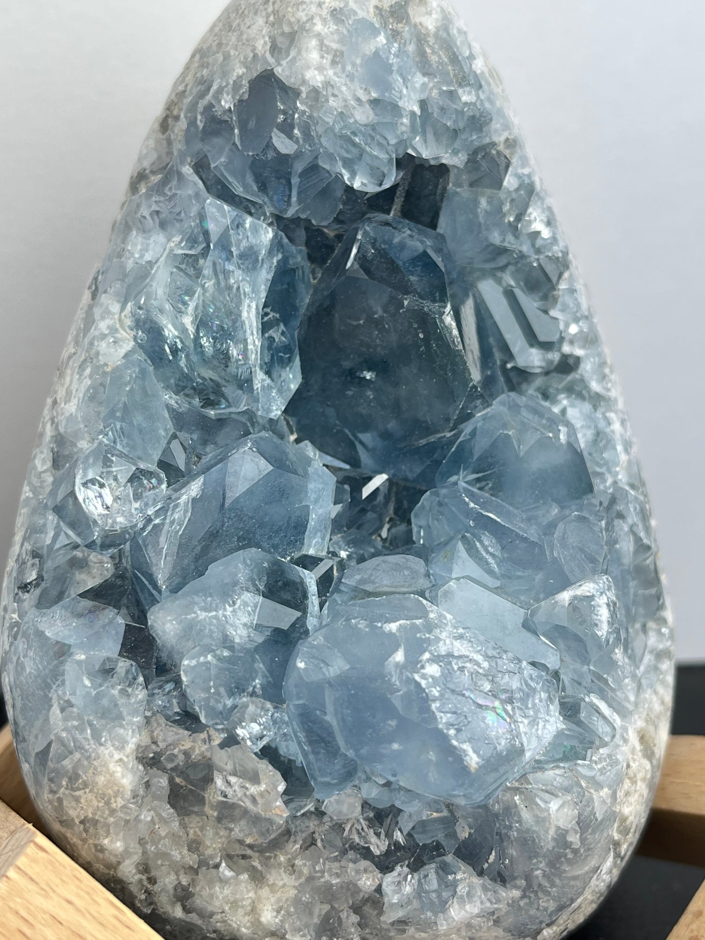 Celestin XL,1.6kg