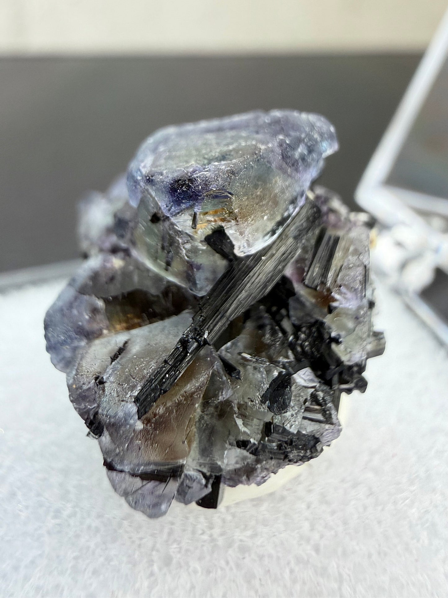 Svart turmalin med fluoritt i boks, Namibia