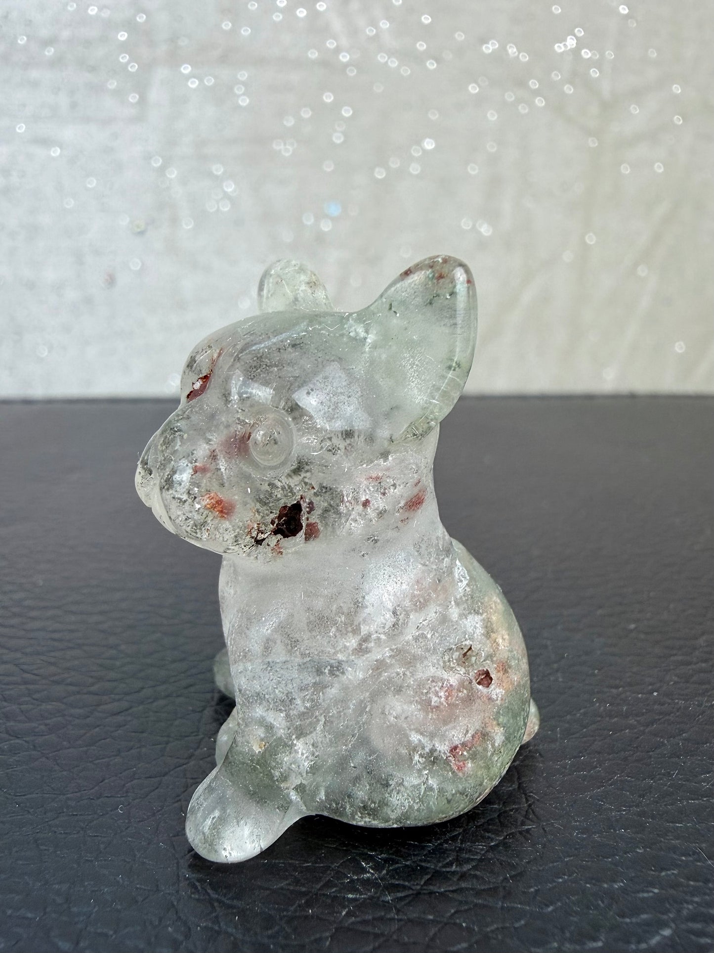 Hagekvarts hund
