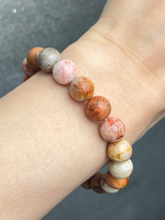 Agatisert Korall armbånd 10mm+