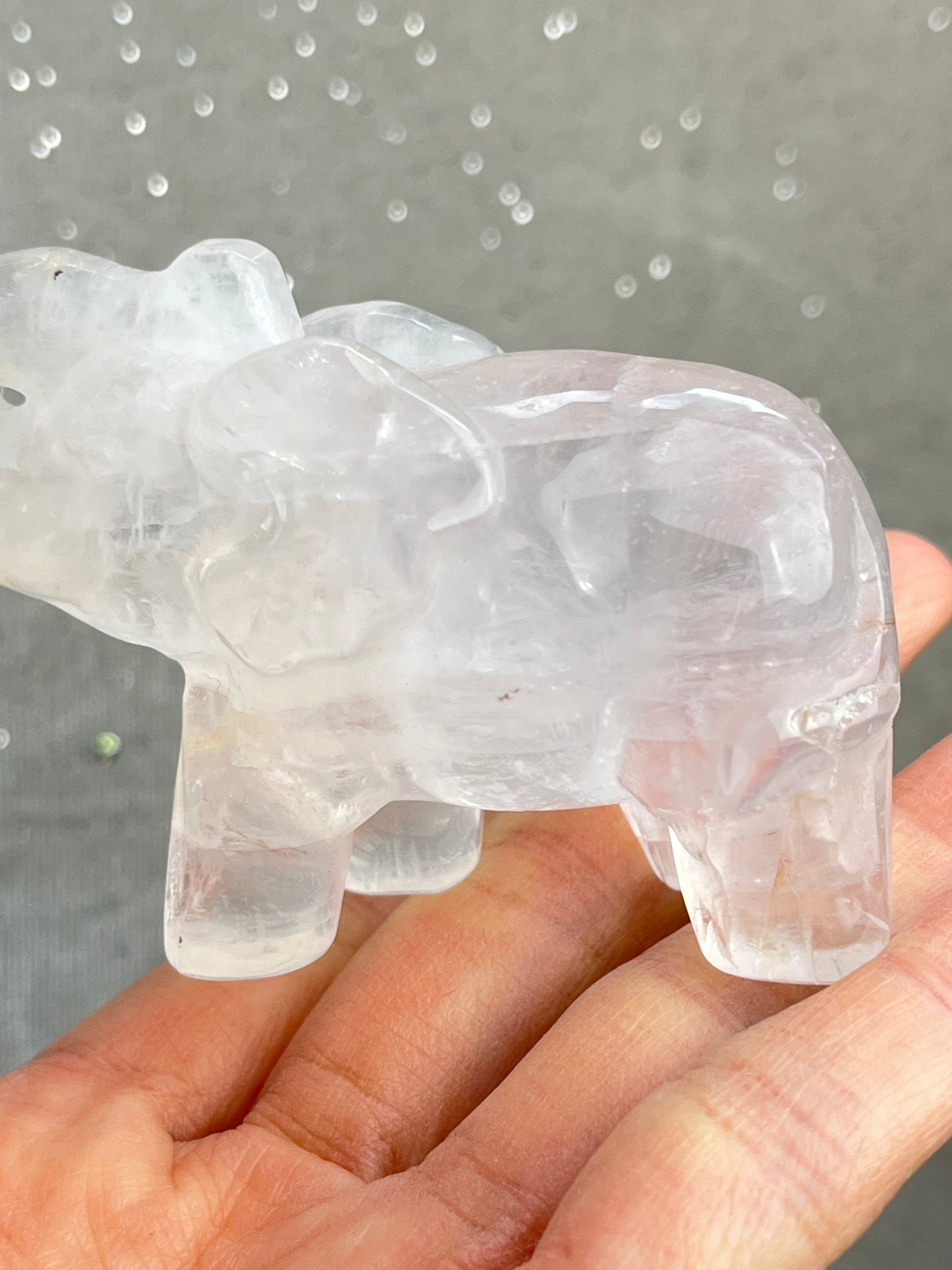 klar kvarts Elefant
