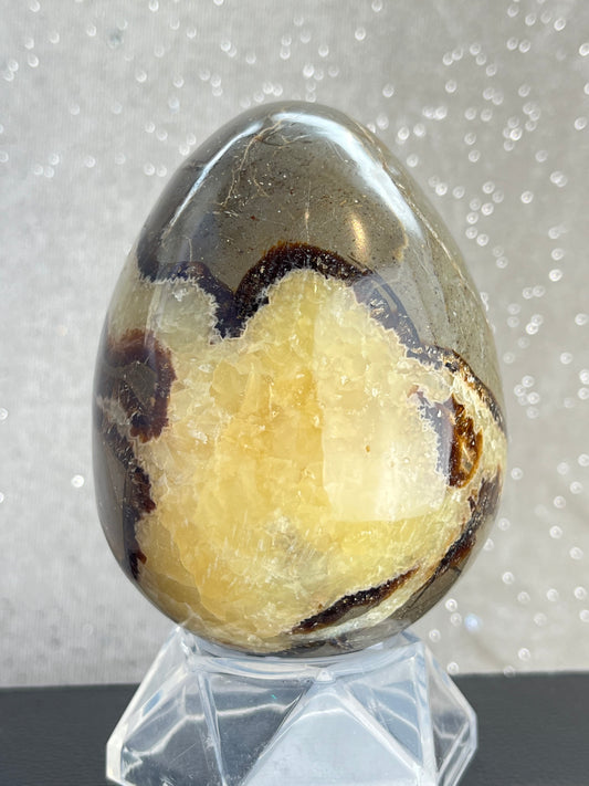 Septarian Egg