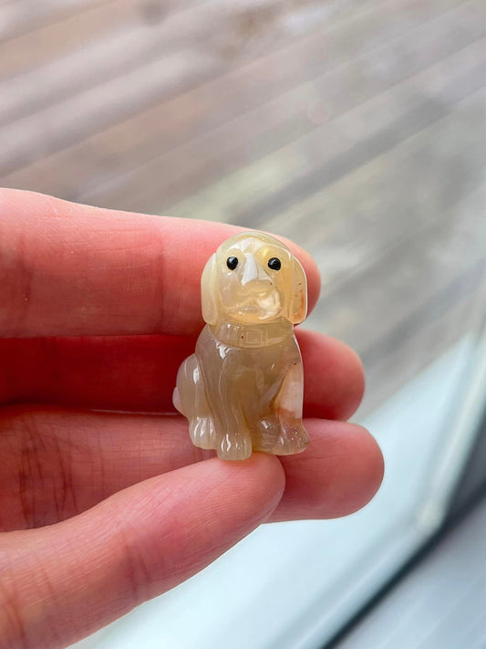 Blomster agat-Hund B